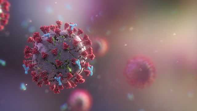 Antibodies attack and destroy the coronavirus. Close-up of dissolving virus
under microscope. SARS-CoV-2 COVID-19 pandemic cure or vaccination concept....